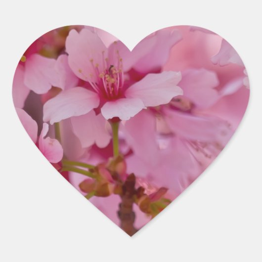 Badend in Roze Japanse Kersenbloesem Hart Sticker (Voorkant)