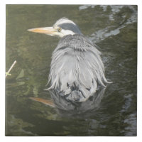 Badende Grijze Reiger Keramische Tegel