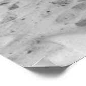 BADERS IN LINCOLN PARK - CHICAGO 1919 POSTER (Hoek)