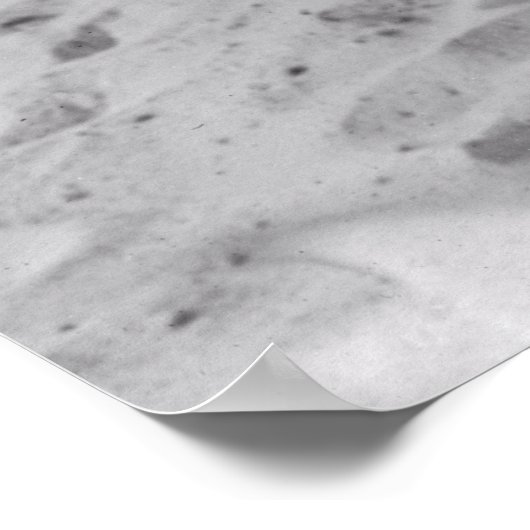 BADERS IN LINCOLN PARK - CHICAGO 1919 POSTER (Hoek)