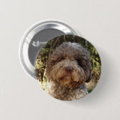Badge lagotto-Romagnolo Ronde Button 5,7 Cm (Voorkant /achterkant)