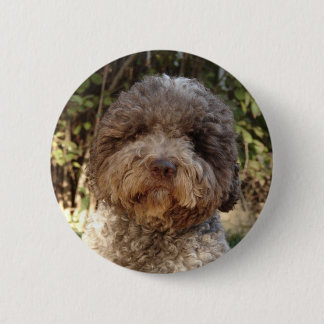 Badge lagotto-Romagnolo Ronde Button 5,7 Cm