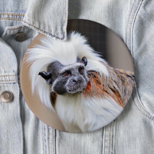Badge met katoentop Tamarin-aap Ronde Button 6,0 Cm (In situ)