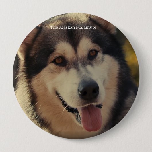 badge ronde button 4,0 cm (Voorkant)