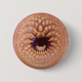 badge ronde button 5,7 cm (Voorkant)