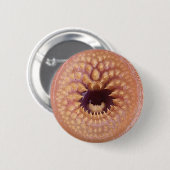 badge ronde button 5,7 cm (Voorkant /achterkant)