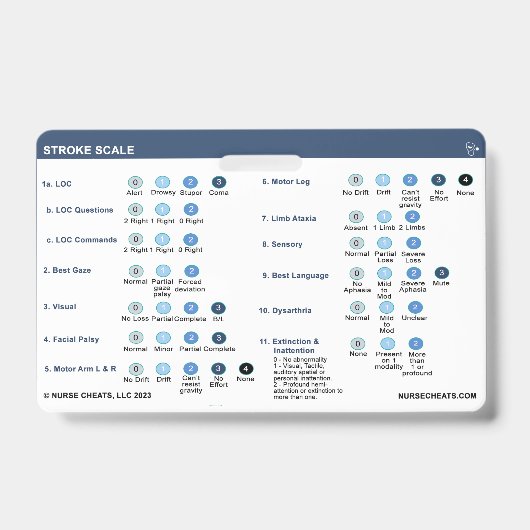 BADGE VOOR LIJNSCHAAL (Voorzijde)