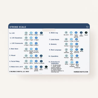 BADGE VOOR LIJNSCHAAL