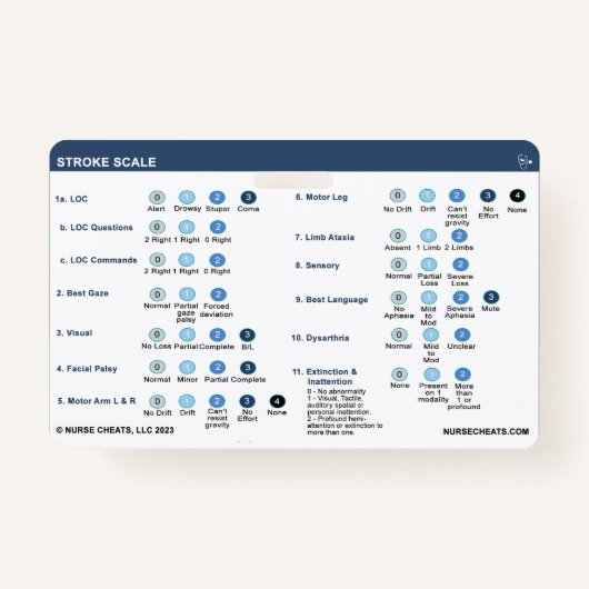 BADGE VOOR LIJNSCHAAL (Voorkant)