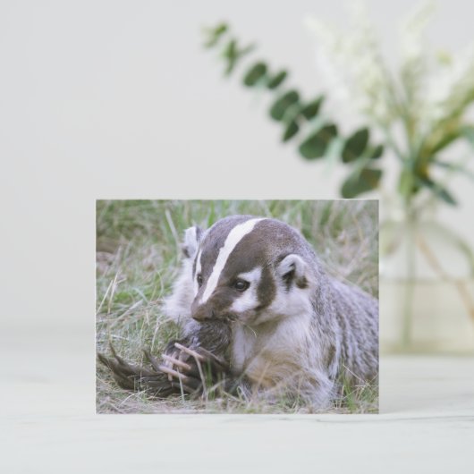 Badger Briefkaart (Staand voorkant)