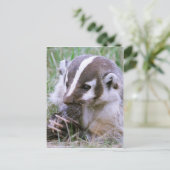 Badger Briefkaart (Staand voorkant)