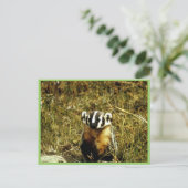 Badger Briefkaart (Staand voorkant)