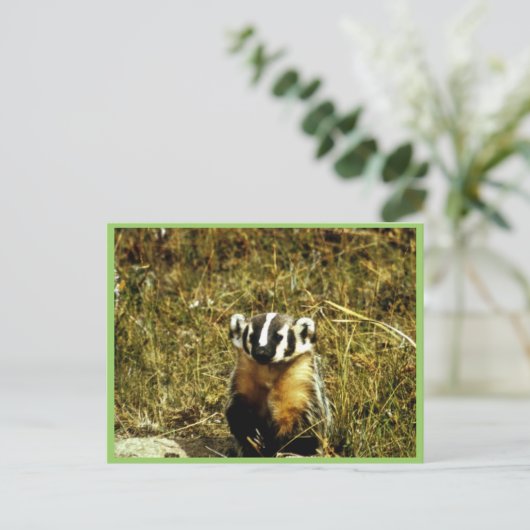 Badger Briefkaart (Staand voorkant)