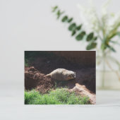Badger Briefkaart (Staand voorkant)