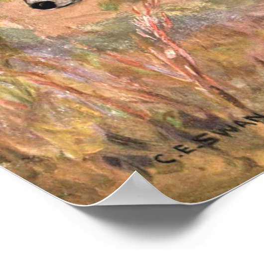 Badger by CE Swan, bosdieren Poster (Hoek)