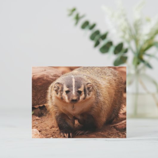 Badger Feestdagenkaart (Staand voorkant)