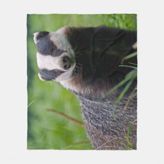 Badger Fleece Blanket (Voorkant)
