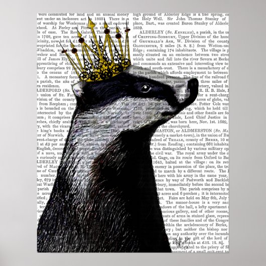 Badger King Poster (Voorkant)