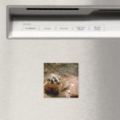 Badger Magneet (Insitu (Vaatwasser))