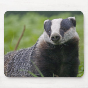 Badger Mousemat Muismat