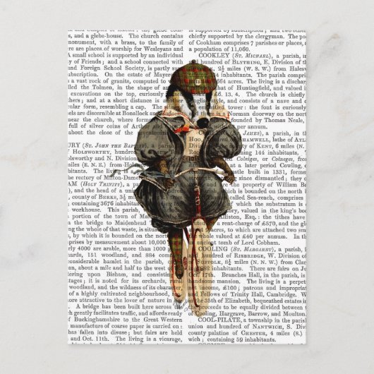 Badger op  fiets briefkaart (Voorkant)