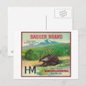 Badger Oranje LabelExeter, CA Briefkaart (Voorkant / Achterkant)