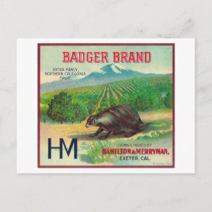 Badger Oranje LabelExeter, CA Briefkaart