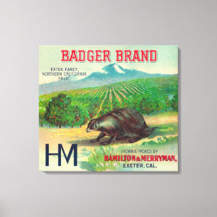 Badger Oranje LabelExeter, CA Canvas Afdruk