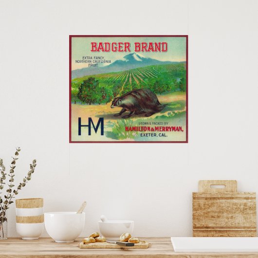 Badger Oranje LabelExeter, CA Poster (Keuken)