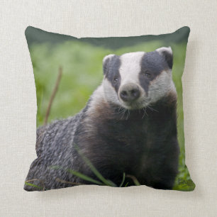 Badger Pillow Kussen
