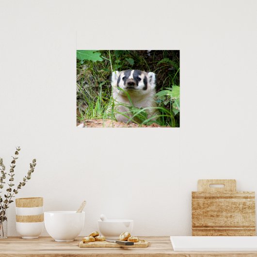 badger poster (Keuken)