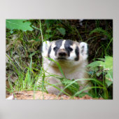 badger poster (Voorkant)