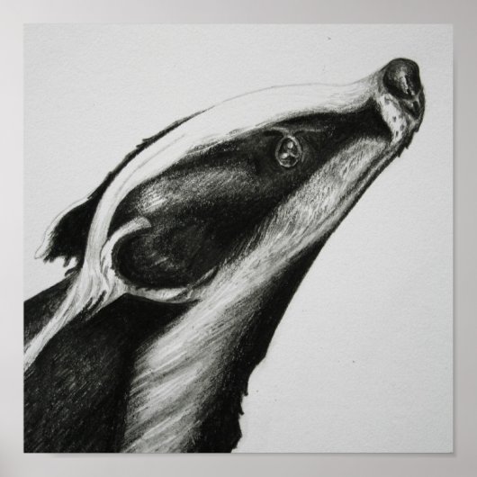 Badger Print (Voorkant)