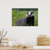 Badger Print (Keuken)