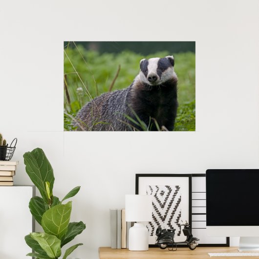 Badger Print (Thuiskantoor)