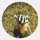 Badger Ronde Sticker (Voorkant)