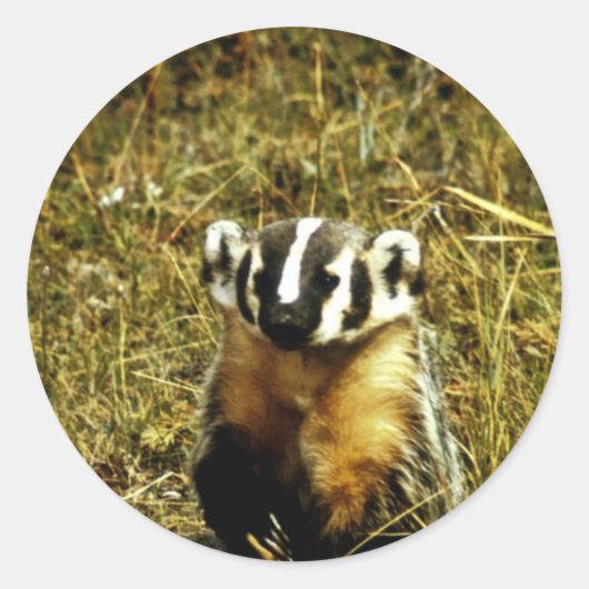 Badger Ronde Sticker (Voorkant)