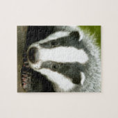 Badger - Verbluffende pro foto! Legpuzzel (Horizontaal)