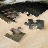 Badger - Verbluffende pro foto! Legpuzzel (Zijkant)
