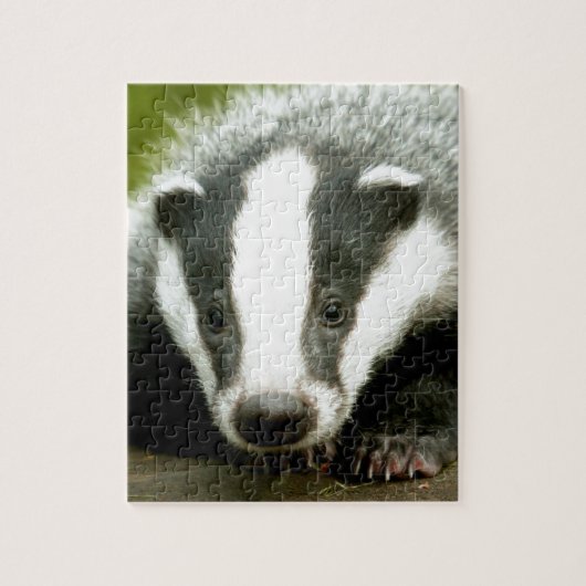Badger - Verbluffende pro foto! Legpuzzel (Verticaal)