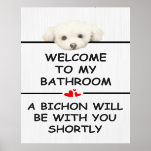 Badkamer Bichon Frise Poster