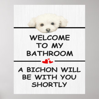 Badkamer Bichon Frise Poster