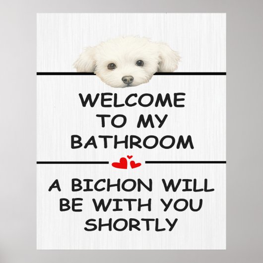 Badkamer Bichon Frise Poster (Voorkant)
