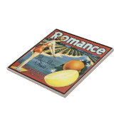  badkuip Kunsttegels Tegeltje (Zijkant)