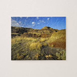 Badlands bij Dinosaur Provincial Park in Alberta, Legpuzzel