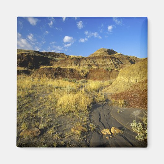Badlands bij Dinosaur Provincial Park in Alberta, Magneet (Voorkant)