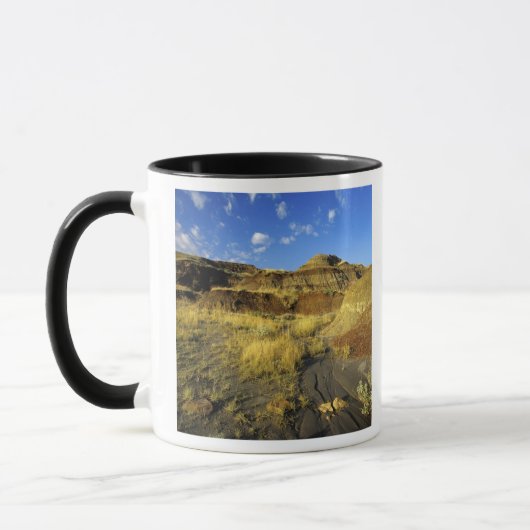 Badlands bij Dinosaur Provincial Park in Alberta, Mok (Links)