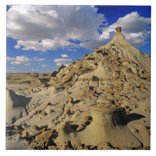 Badlands bij Dinosaur Provincial Park in Alberta, Tegeltje