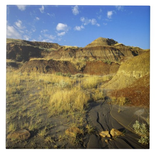 Badlands bij Dinosaur Provincial Park in Alberta, Tegeltje (Voorkant)