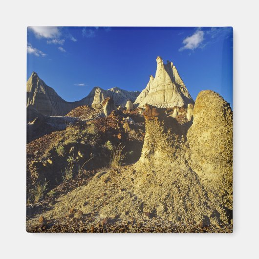 Badlands-formaties bij Dinosaur Provincial Park 2 Magneet (Voorkant)